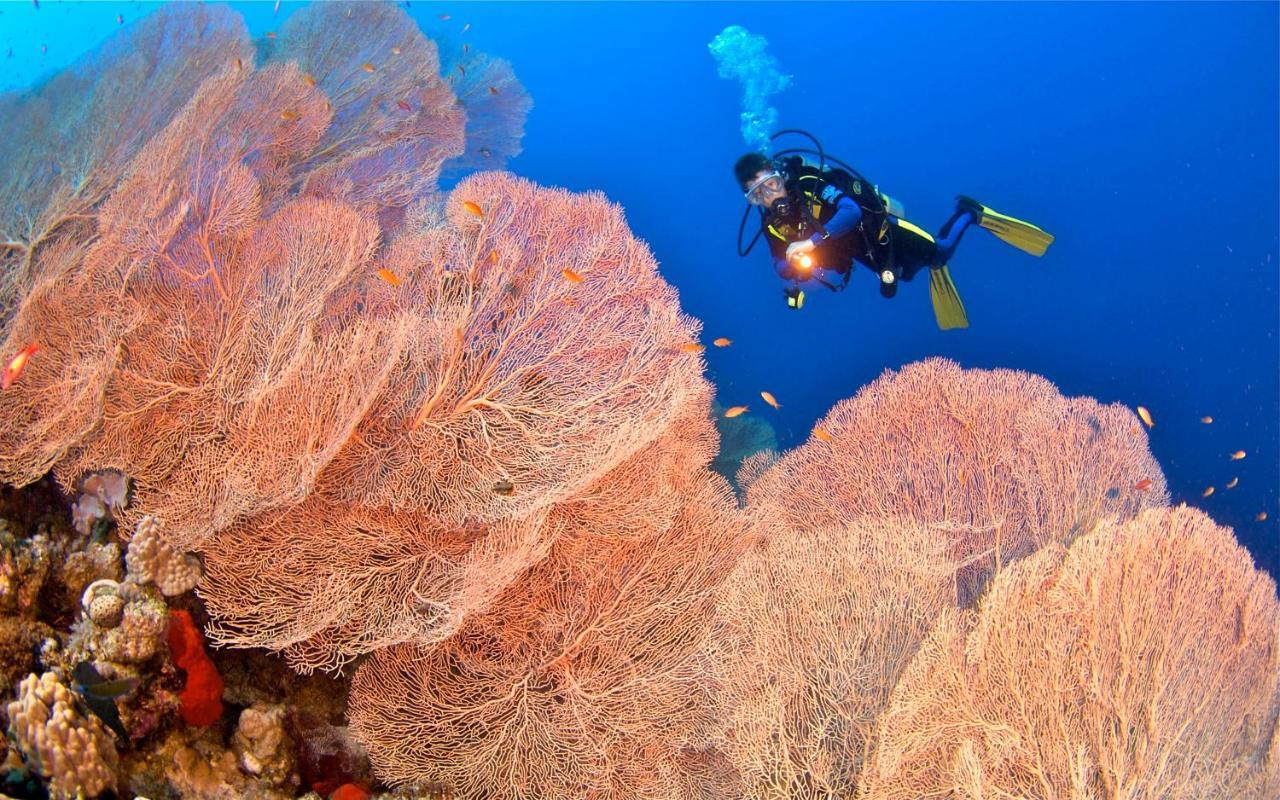 Amarina Abu Soma Resort & Aquapark Hurgada Dış mekan fotoğraf